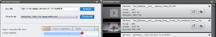 Showing the WonderFox DVD Video Converter panels for downloading YouTube videos and quickly accessing them